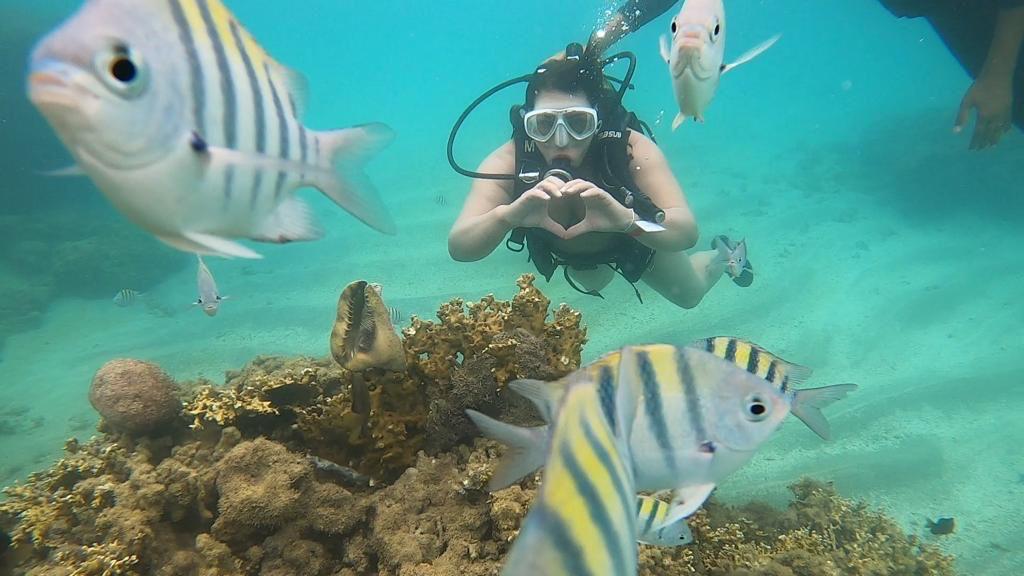 WhatsApp Image 2026-01-20 at 11.45.53